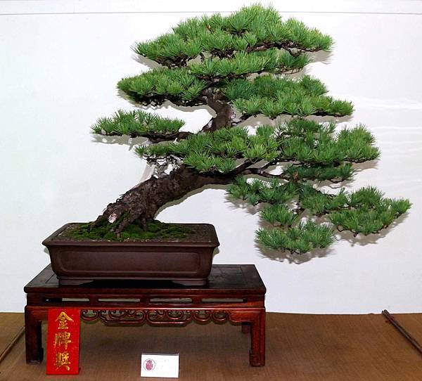 DSC_7071.jpg DSC_7071.jpg