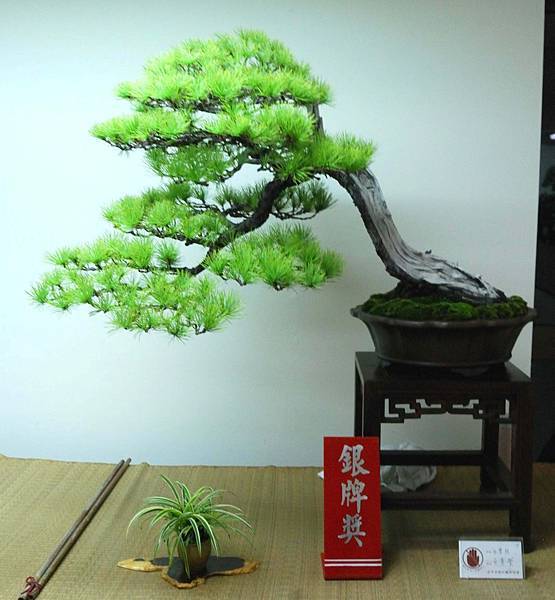 DSC_7077.jpg DSC_7077.jpg