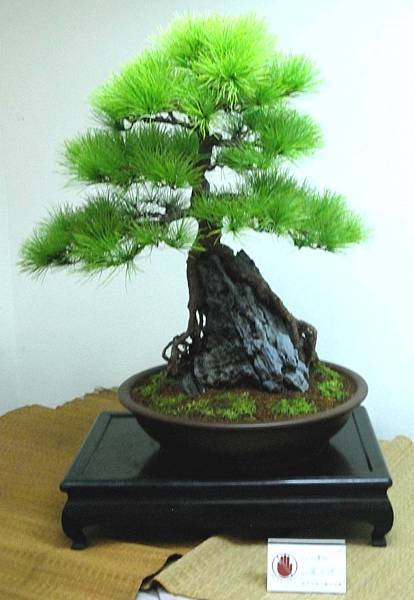 DSC_7074.jpg DSC_7074.jpg