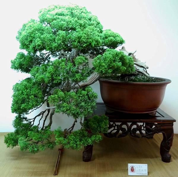 DSC_7082.jpg DSC_7082.jpg