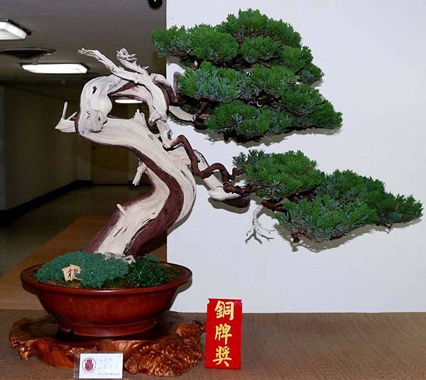 DSC_7085.jpg DSC_7085.jpg