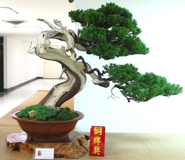 DSC_7083.jpg DSC_7083.jpg