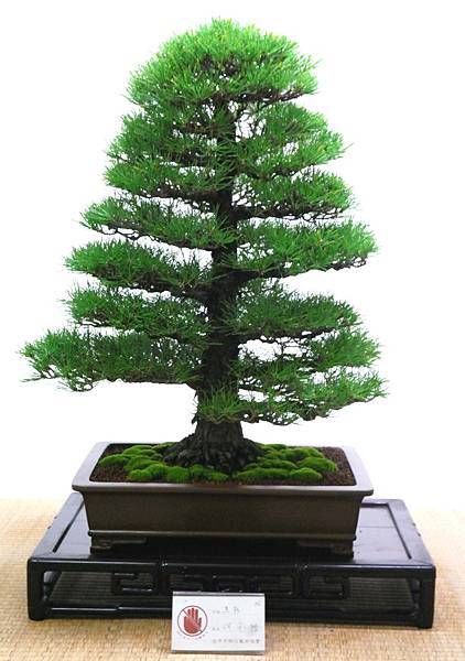 DSC_7089.jpg DSC_7089.jpg