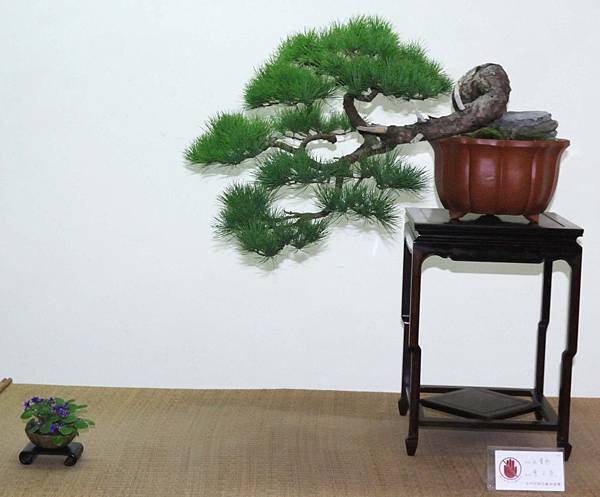 DSC_7088.jpg DSC_7088.jpg