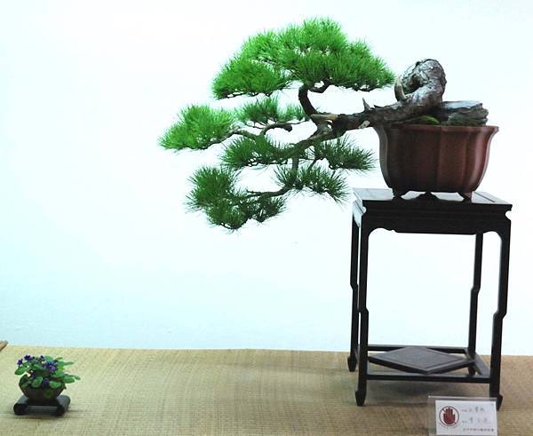 DSC_7086.jpg DSC_7086.jpg