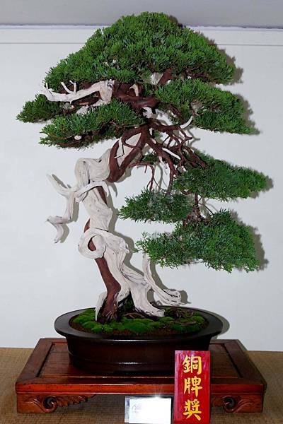 DSC_7093.jpg DSC_7093.jpg