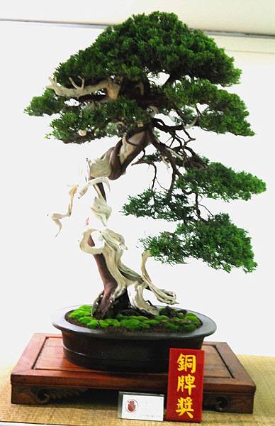 DSC_7091.jpg DSC_7091.jpg