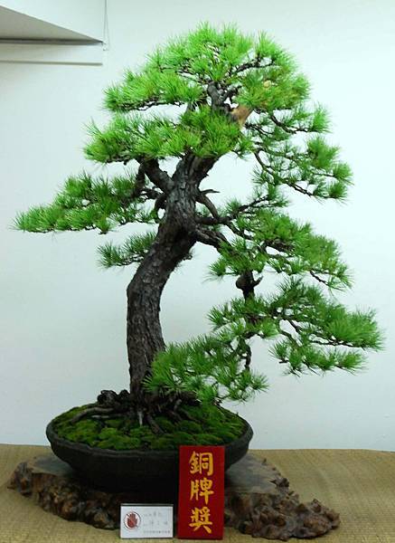 DSC_7094.jpg DSC_7094.jpg