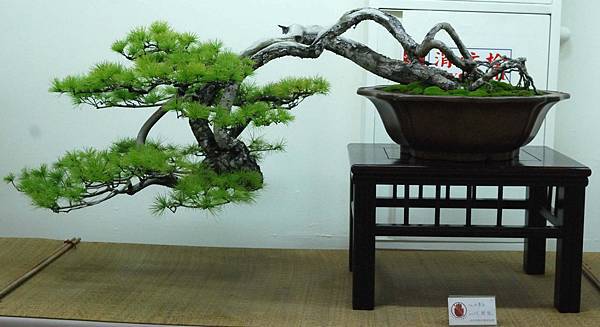 DSC_7096.jpg DSC_7096.jpg