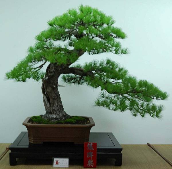 DSC_7102.jpg DSC_7102.jpg