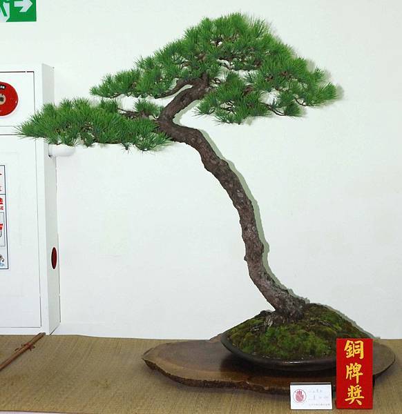 DSC_7101.jpg DSC_7101.jpg