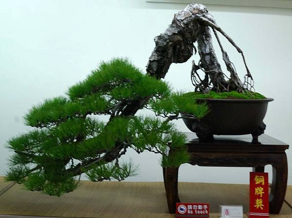 DSC_7108.jpg DSC_7108.jpg