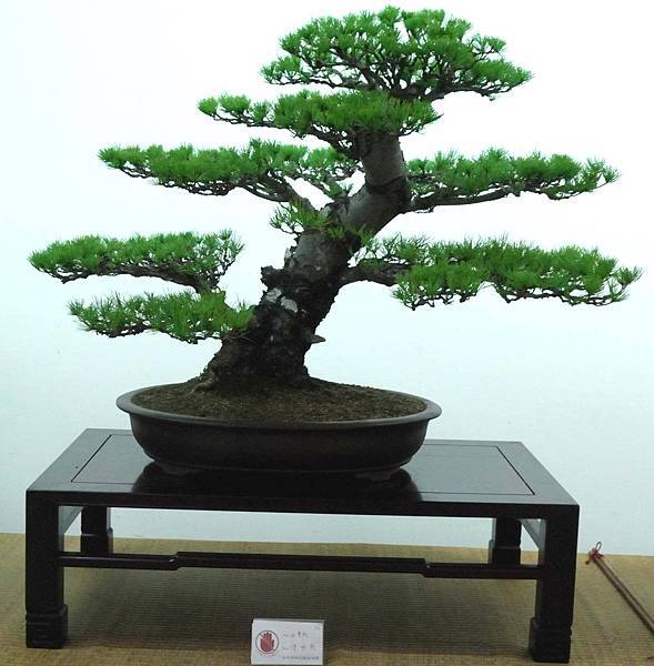 DSC_7105.jpg DSC_7105.jpg