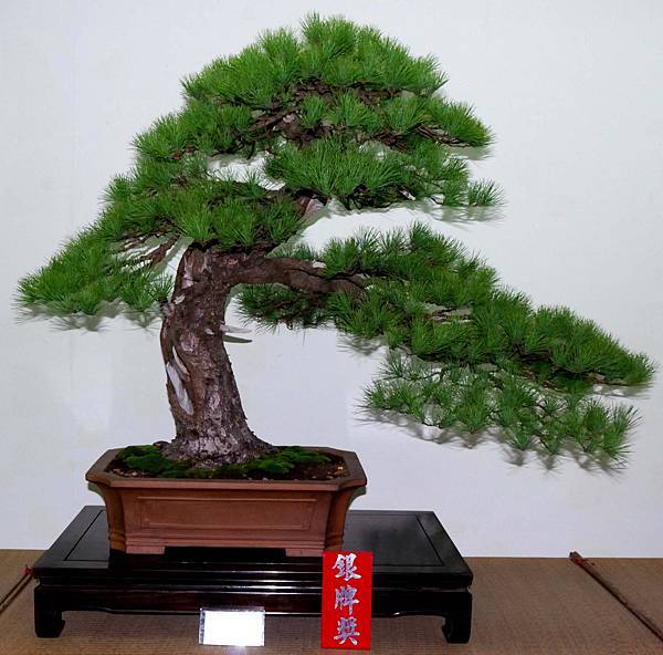 DSC_7104.jpg DSC_7104.jpg