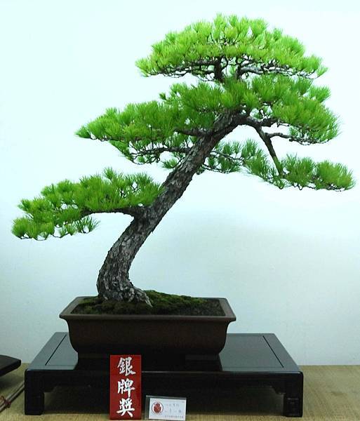 DSC_7114.jpg DSC_7114.jpg