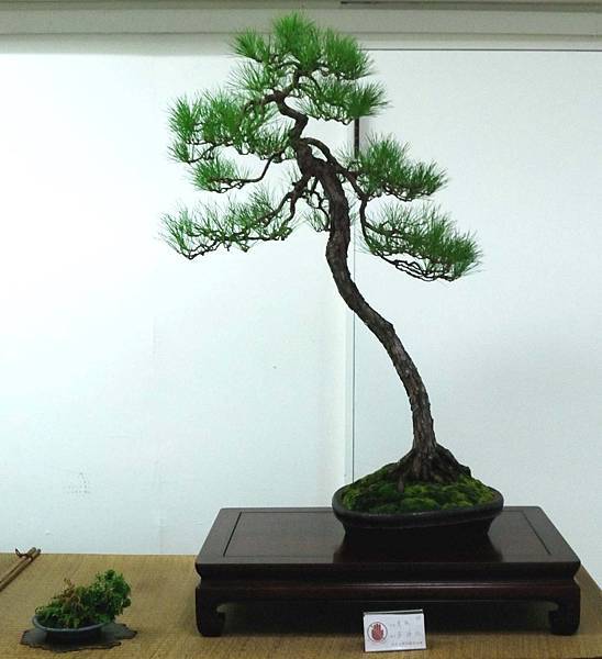 DSC_7111.jpg DSC_7111.jpg