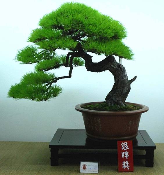 DSC_7123.jpg DSC_7123.jpg