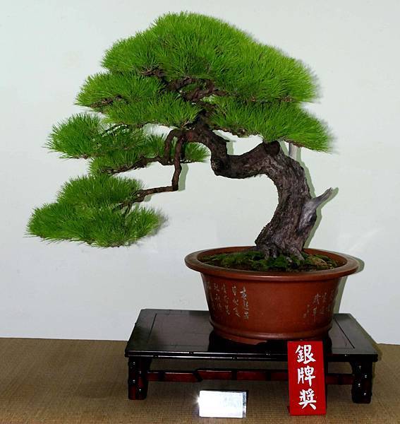 DSC_7125.jpg DSC_7125.jpg