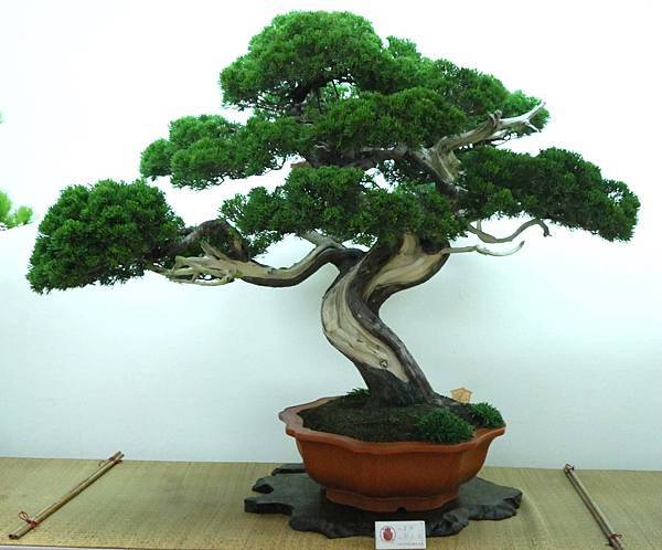 DSC_7120.jpg DSC_7120.jpg