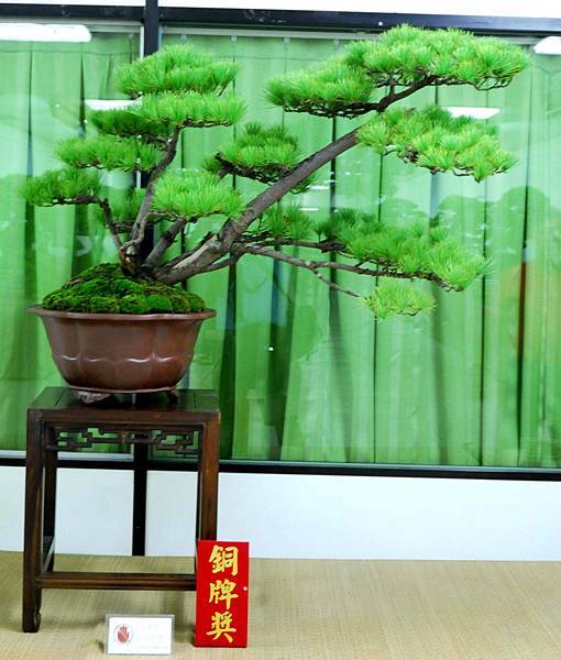 DSC_7130.jpg DSC_7130.jpg