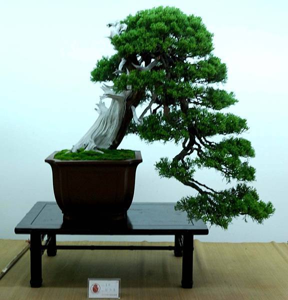 DSC_7145.jpg DSC_7145.jpg