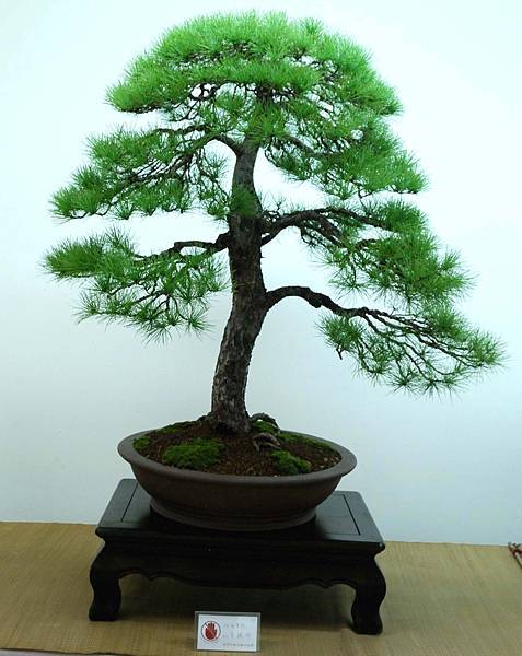 DSC_7141.jpg DSC_7141.jpg