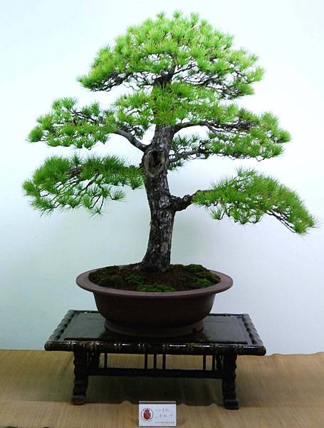 DSC_7150.jpg DSC_7150.jpg