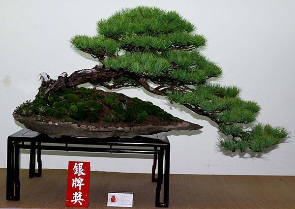 DSC_7156.jpg DSC_7156.jpg