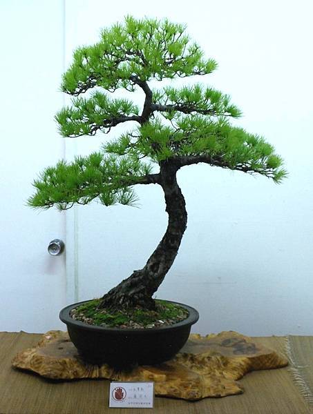 DSC_7153.jpg DSC_7153.jpg