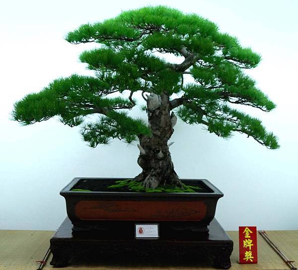 DSC_7157.jpg DSC_7157.jpg