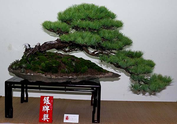 DSC_7160.jpg DSC_7160.jpg