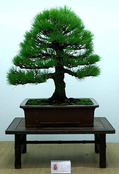 DSC_7161.jpg DSC_7161.jpg