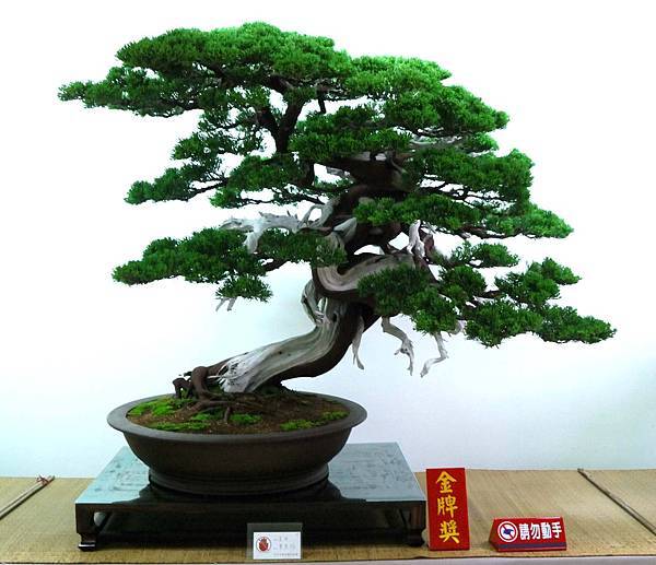 DSC_7164.jpg DSC_7164.jpg