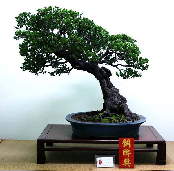 DSC_7167.jpg DSC_7167.jpg