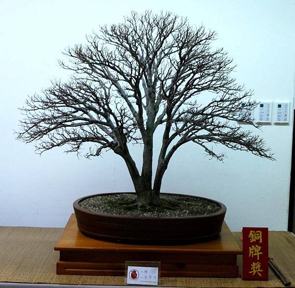 DSC_7170.jpg DSC_7170.jpg