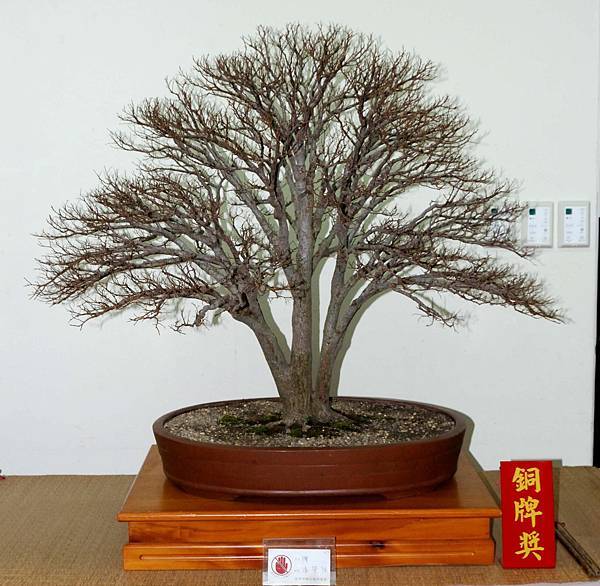 DSC_7172.jpg DSC_7172.jpg