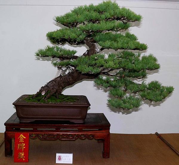 DSC_7173.jpg DSC_7173.jpg