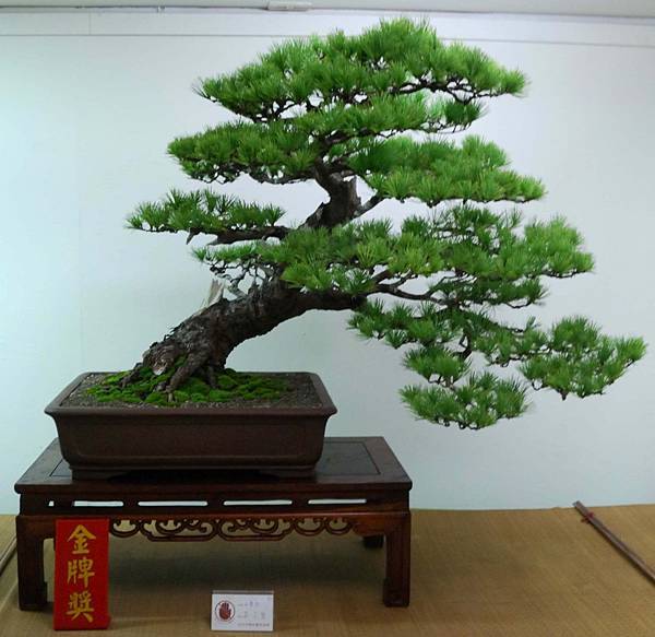 DSC_7174.jpg DSC_7174.jpg