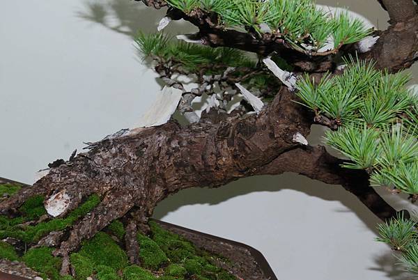 DSC_7177.jpg DSC_7177.jpg