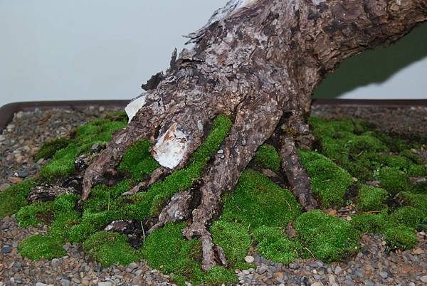 DSC_7176.jpg DSC_7176.jpg