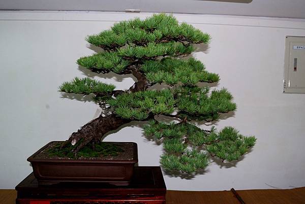 DSC_7178.jpg DSC_7178.jpg