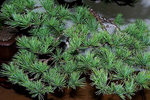 DSC_7179.jpg DSC_7179.jpg