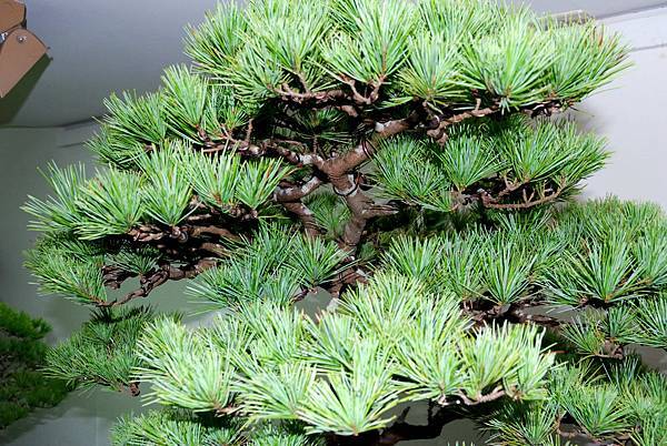 DSC_7180.jpg DSC_7180.jpg