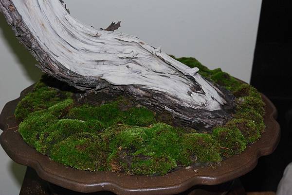 DSC_7182.jpg DSC_7182.jpg