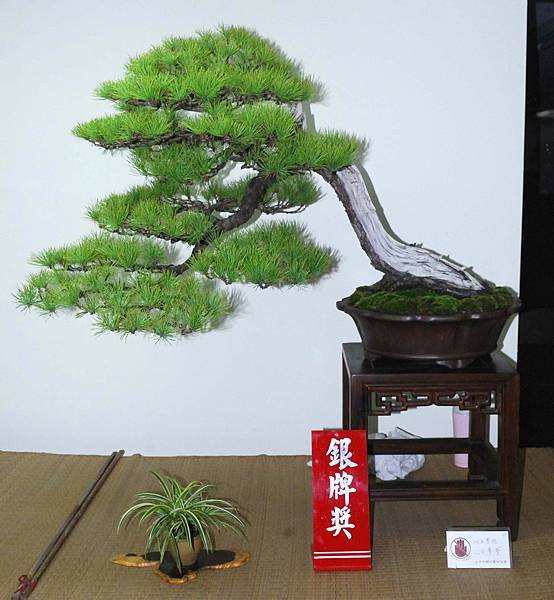 DSC_7181.jpg DSC_7181.jpg