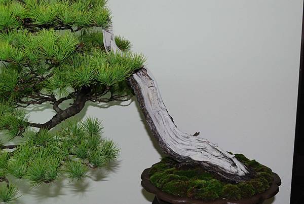 DSC_7183.jpg DSC_7183.jpg