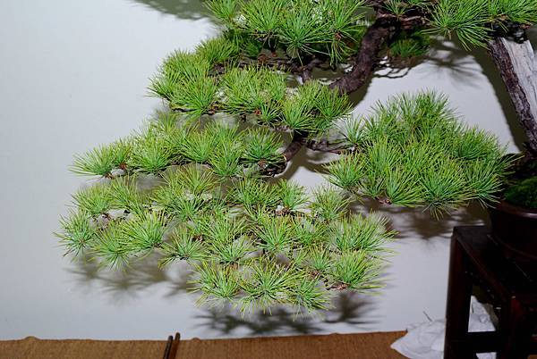 DSC_7184.jpg DSC_7184.jpg