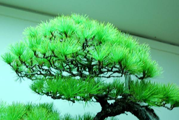 DSC_7186.jpg DSC_7186.jpg