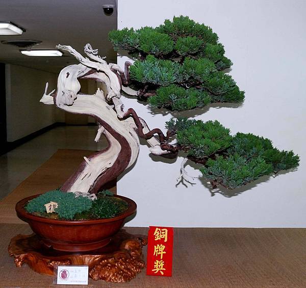 DSC_7187.jpg DSC_7187.jpg