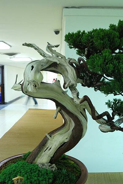 DSC_7188.jpg DSC_7188.jpg